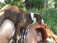 Russian lady has her pussy knotted to dog's hard dick